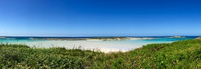 Mad Fish Bay