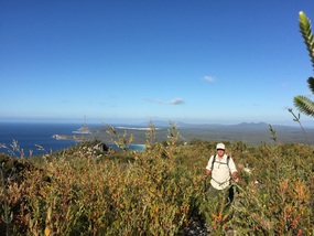 Climbing East Mount Barren
