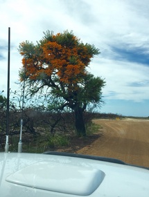 Entrance to Cape Arid