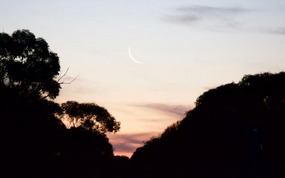 Road to Gillbunya