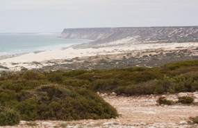 The Great Australian Bight