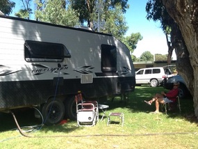 Evi hides in the shadows at camp, lazy day!