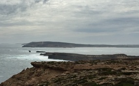 Wild Coastline @ Elliston 