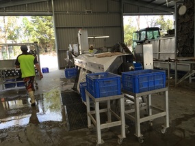 Coffin Bay Oyster Processors 