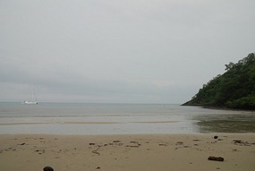 Cape Tribulation