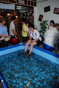 Fish spa in Central Market