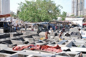 Mumbai central laundry