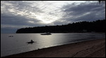 Balık agi