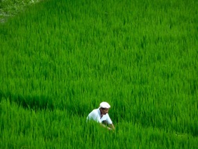 Ubud