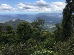 Ausblick vom Mount Warning