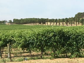 Hunter Valley