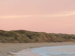 Phillip Island Pinguine Parade