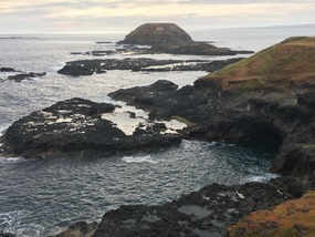 Phillip Island