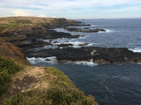 Phillip Island