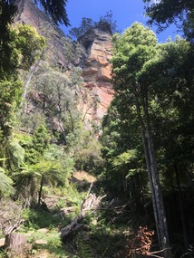 Blue Mountains