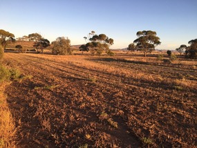 Flinders Ranges