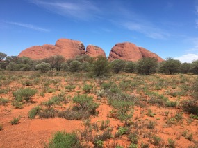 Olgas