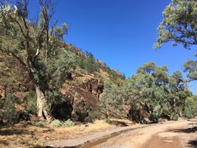 Flinders Ranges