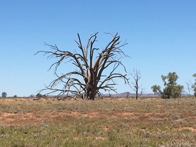 Flinders Ranges