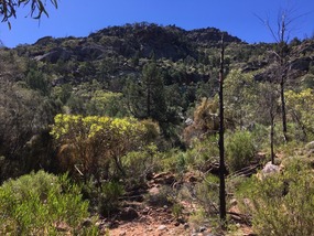 Flinders Ranges