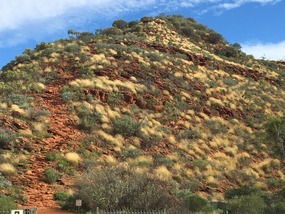 Kings Canyon