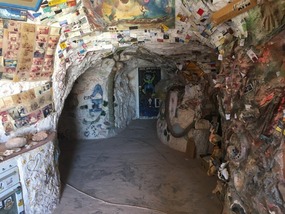 Krokodile Harry's zu Hause