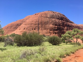 Olgas