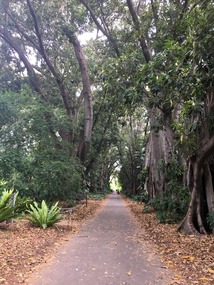 Botanischer Garten