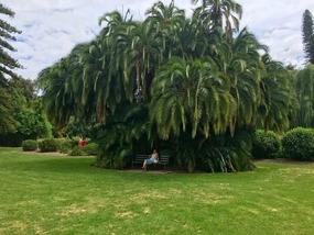 Park Adelaide