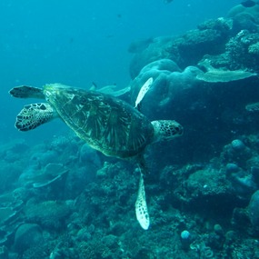 Yasawas Islands
