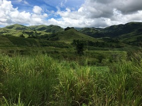 Viti Levu