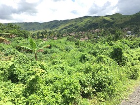 Navala