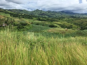Viti Levu
