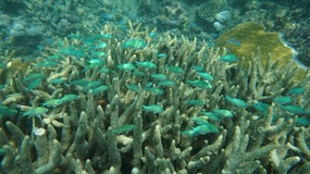 Yasawas Islands