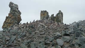 Antarktis