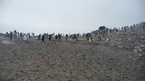 Antarktis