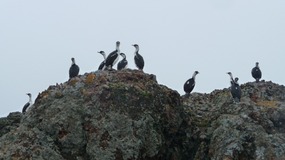 Antarktis