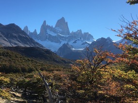 Fitzroy