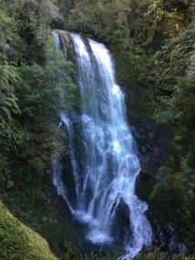Parque Pumalin