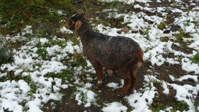 auch Schnee war dabei