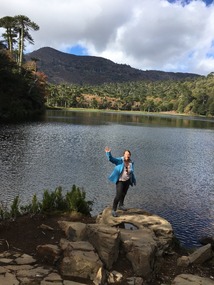 Laguna verde war auch weit