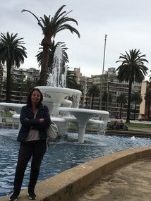Vina del Mar