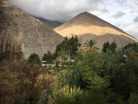 Valle Elqui