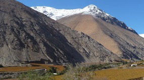 Valle Elqui