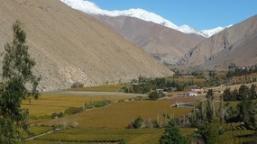 Valle Elqui
