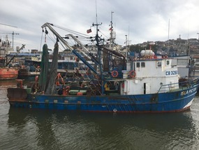 Hafen Coquimbo