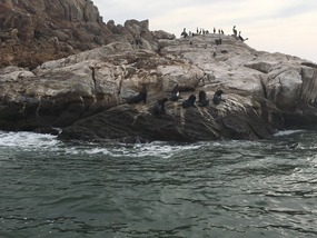 Hafenrundfahrt Coquimbo
