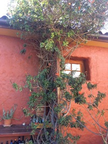 schmuckes Hostal El Punto Serena