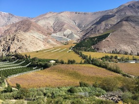 Valle Elqui