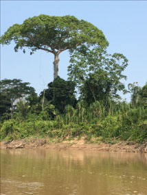 Manu Nationalpark